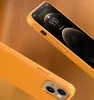 Geschikt voor Apple 13 Spot Telefoon Lederen Case Magnetische iPhone 12 Pro Max Officiële telefooncase Airpods Luxe Sleutelhanger