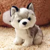 Детские игрушки Симпатичные симуляторы щенка Husky Doll Plush Игрушки подарки Детские Рождественские подарочные Животные Куклы Пары Представлены