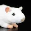 17CM Soft Cute White Mouse Symulacja nadziewana pluszowa zabawka szczur Piękny kawaii lalki zwierzę zwierzęta mini prawdziwe życie zabawka dla dzieci prezent dla dzieci Q07409233