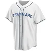 Men's Custom Tampa Bay Baseball Jerseys Make Your Own Jersey Sports Shirts Personalized Team Name and Number Stitched