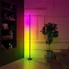 플로어 램프 80cm 현대식 LED 코너 램프 RGB 화려한 조명 원격 제어 멀티 모드 바 거실 분위기 스탠딩