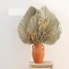 Decorative Flowers & Wreaths 1pcs Palm Fan Leaf Dried Flower Window Reception Party DIY Art Wall Hanging Decoration For Wedding Arch Arrange