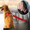 safety harness leash