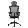 US Stock Techni Mobili Modern High-Back Mesh Executive Office Furniture Chair with Headrest and Flip-Up Arms, Black a53 a42