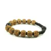 Bracelets porte-bonheur Rudraksha coquille de noix de coco naturelle avec perles d'oeil de tigre rouge Bracelet pour hommes femmes unisexe tibétain extensible Raym22