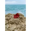 Летние пляжные шорты мужчины Мода Тонкий Высокий Ксевение Древесины Повседневная Праздник Beeted SJ150166 210716