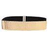 Belts Decorative belt women039s metal elastic waist seal fashion fish scale wide with dress2772011