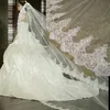 cathedral mantilla lace veil
