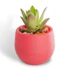 Färgglada Mini Round Plast Plant Plant Blomsterkrukor Planterar Trädgård Hem Office Decor Planter Skrivbord Pott Multi Färg Alternativ Sea Ship Zze5636