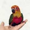 Papağan Anti-Bite Uçan Eğitim Halat Kuş Ultralight Koşum Tasma Yumuşak Taşınabilir Pet Kuşlar Malzemeleri Bırak Gemi