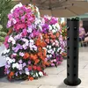 Planters Pots Black Постоянный Усадьба Цветочная башня Садовый Контейнер Садоводство Домашняя Засаженная Инструменты Бержа