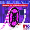 5V LED成長ライト1M-3Mハンドスイープセンサーフレキシブルプラントテープ防水USB PHYTOランプ箱栽培植物の種子