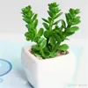 Mini Artificial Green Plants With Ceramic Pot PVC Bonsai Potted Landscape Succulent & Cactus For Office Home Decoration Decorative Flowers W