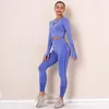 Naadloze Vrouwen Gym Sets Vrouwelijke Sport Leggings Gym Suits Dragen Running Kleding Fitness Sport Workout Pak Lange Mouw Shirts BH 211116