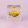 Reçine Gül Daisy Küp Karahindiba Kristal Cam Paperweight Gerçek Doğal Bitki Numune Feng Shui Çiçekler Noel Hediye Ile Ahşap Kutu 210811