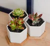 Pots de bonsaï en céramique en gros mini fournisseurs de pots de fleurs en porcelaine blanche pour l'ensemencement de succulentes jardinières de pépinière d'intérieur SN2254