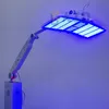 verticle LED Photon Therapy Facial Ledlight 치료 PDT 미용 기계 판매