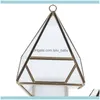 Sieraden verpakking display juwelenjewelry zakjes zakken diamant vorm doos organisator geometrie glas cosmetische opslag geometrische stijl tabel c