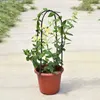 Other Garden Supplies 6PCS Trees Hoops U-shaped Plant Supports Tomatoes Beans Durable Multifunction Trellis Climbing