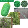 Outros suprimentos de jardim Planta Netting Pea Green Trellis Net para Feijão Frutas Vegetais Escaladas Plantas Ferramentas