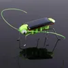 Funny Insect Solar Grasshopper Cricket Educational Toy birthday gift