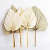 Natural Plant Palm Leaves Home Room Decor DIY Dried Flower For Party Art Wall Hanging Wedding Window Decoration Arch Arrangement 211108