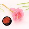 Fiori di rosa luminosi Bomboniera Romantica eterna Fiore di lamina d'oro Compleanno creativo Regali di San Valentino