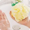 Cartoon Fruit Shape Mesh Bath Sponge Loofahs Body Shower Ball Back Brush Remove Dead Skin6408444