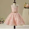 Flower Girl Dress Wedding Princess Pink Lace Long Trailing Dress Girls Party Communion Dress Kids Birthday Clothing Custom Made G1218