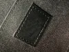 Carteira de couro de couro de alta qualidade Felicie Sacha de ombro de lúctaros de luxo da carteira feminina Designer de cassete Sacos à prova de poeira