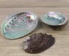 Decorations Aquariums Fish Pet Supplies & Garden5 Sizes Abalone Nautical Seashell Beach Wedding Shells Ocean Jewelry Diy Shell Soap Dish Aqu