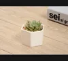 Pots de bonsaï en céramique, vente en gros, mini pots de fleurs en porcelaine blanche, fournisseurs pour semis succulents, pour pépinière d'intérieur et de maison