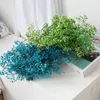 Fiori secchi naturali conservati Gypsophila Paniculata Mazzi di fiori per l'alito del bambino Regalo per decorazioni per la casa di nozze Puntelli Po 220329