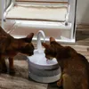 مياه مياه الحيوانات الأليفة موزع القطط تلقائي الشرب للقطط كلاب الأوعية المغذيات