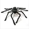 Halloween Spider Dekorationer Realistiska Spindlar Props Fake Scary Hairy Sets för Halloweens Dekoration Inomhus Utomhus och Yard Creepy Decor HH21-610