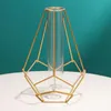 Vaser geometrisk j￤rnlinje vas terrarium enkel retro v￤xth￥llare modern nordisk hydroponisk smidesmetall