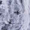 20G Halloween przerażający wystrój imprezowy Elastery Spider Web Cobweb Bawełna Horror Halloween Dekoracja dla baru Haunted House Scena Props6639014