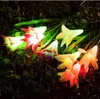 Corde Ghirlande Luce Giglio Fiore Lampada Solare Potenza LED Fata Luci Giardino Decorazioni Natalizie Per La Decorazione Del Giardino All'aperto