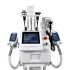 2021 가장 인기있는 Cryolipolysis 기계 더블 턱과 몸 1 Cryo 핸들 지방 동결 크리 올리 프리 시스 Maquina 셀룰 라이트 냉동