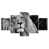 Impressions modernes Affiches Animal Lion Pictures blanches et noires peinture art toile décoration de maison décorno frame 3619056