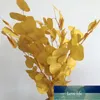 Decorative Flowers & Wreaths Real Dried Natural Fresh Forever Eucalyptus Branches,Preserved Round Leaves Flowers Eucalyptus,DIY H Factory price expertome D