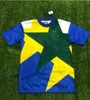 2006 Brazilië RONALDINHO ADRIANO RIVALDO Romario voetbalshirts 1957 1991 1993 1994 1998 2000 2002 2004 2010 Brazilië retro voetbalshirt klassiek RONALDO KAKA FRED