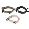 Cat Collar prowadzi Kołnierz Pet Dog Kołnierz Nylon Training Training Traktacja ze stalową klamrą Akcesoria