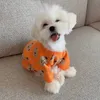 Kawaii Ayı Kazak Turuncu Giysileri Chihuahua Kazak Pomeranian Hoodie Kış Kore Tarzı Köpek Giyim Evcil Kostümleri