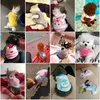 Pet Costume Cute Rabbit Clothes Odzież Dog Odzież Miękkie Koral Velvet Bunny Kamizelka Przytulna Koszulka Dla Kitten Fretki Chihuahua Puppy Puppy Pudełko i małe zwierzęta 2xs Rainbow