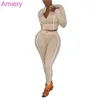 Women Two Pieces Pants Set Long Sleeve Solid Color Line Stitching Zipper Pullover Running Outfits Outdoor Jogger Sets