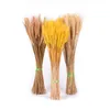 Flores decorativas grinaldas 50pcscsc Natural Flower Wheat Weat Wedding Home Decoration Scrapbook Po Props Buquet Diy Craft