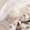 Comforters Factory hela gåvor slipas förtjockas på våren och hösten Soy Fiber Quilt för att hålla varmen vinter73247333102866
