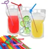 Stand-Up Plastic Drink Pouches Bags with Drink Straws Translucent Reclosable Ice Juice Bags