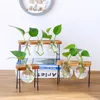 Hydroponiczne wazony roślinne Vintage Glass Staletop Rośliny Bonsai Flowerpots Home Dekoracyjne wazę drewniane podstawowe darowizny ślubne 210409